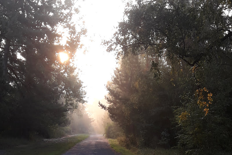 Morgennebel Am Himmelpforter Weg | (c) Bandelow Stadt Fürstenberg/Havel 2019