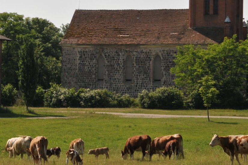 Weide vor der Kirche in Tornow